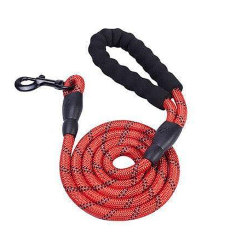 Dog Leash