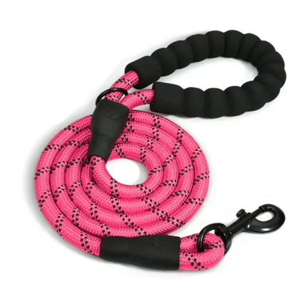 Dog Leash