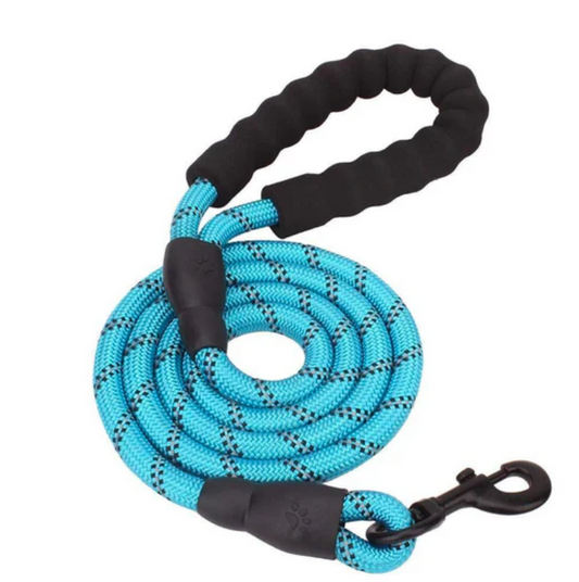 Dog Leash