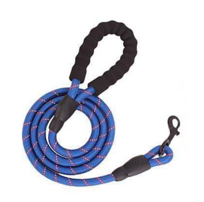 Dog Leash