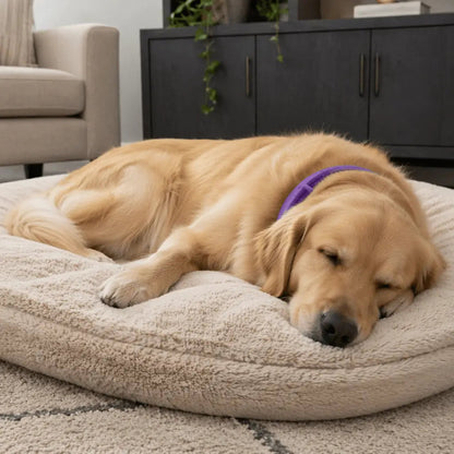 Wooflo Calm Collar™ — Pheromone Anxiety Relief for Dogs