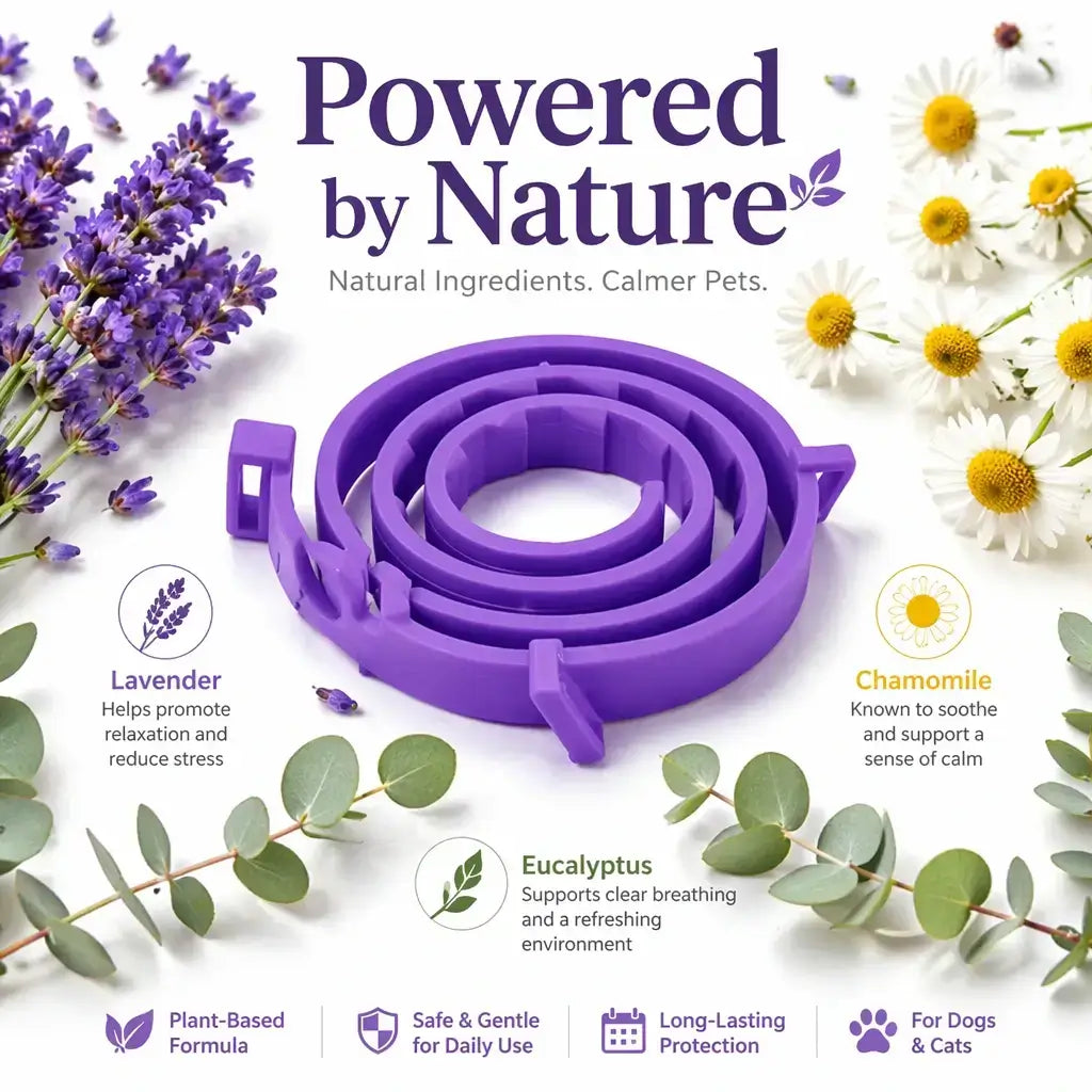 Wooflo Calm Collar™ — Pheromone Anxiety Relief for Dogs