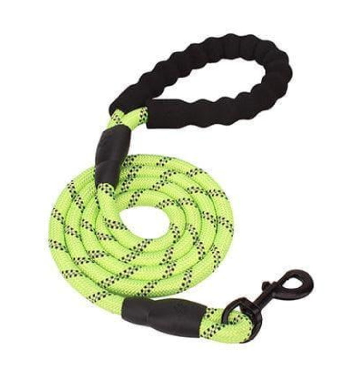 Dog Leash
