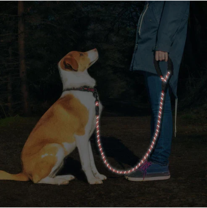 Dog Leash