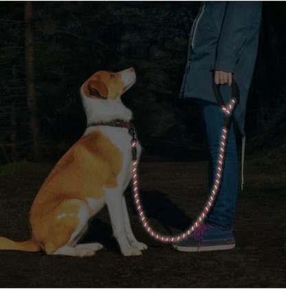 Dog Leash