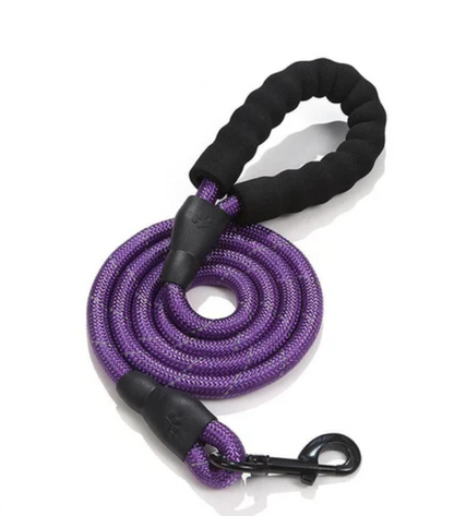 Dog Leash