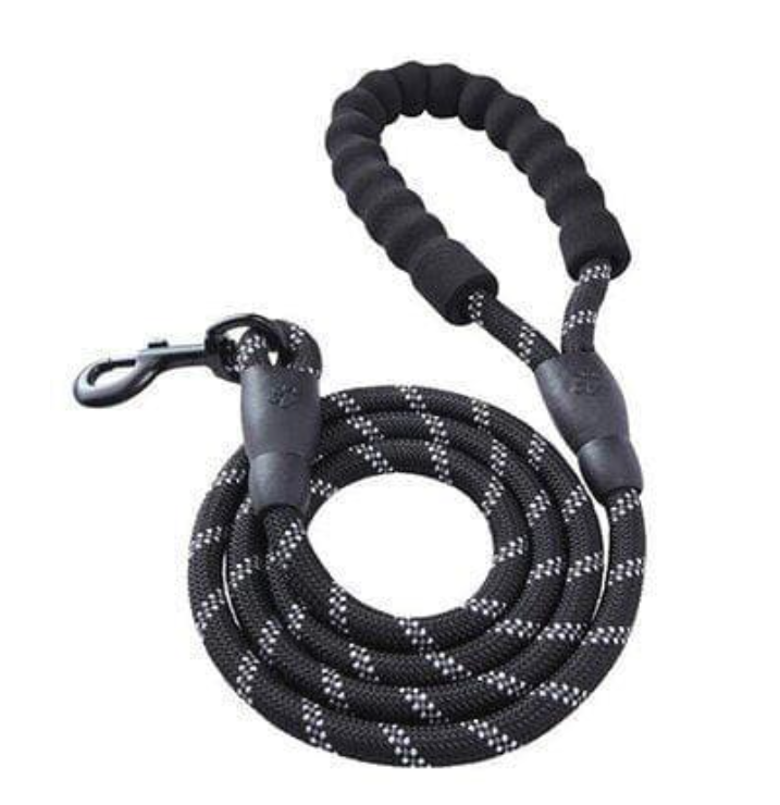 Dog Leash