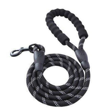 Dog Leash
