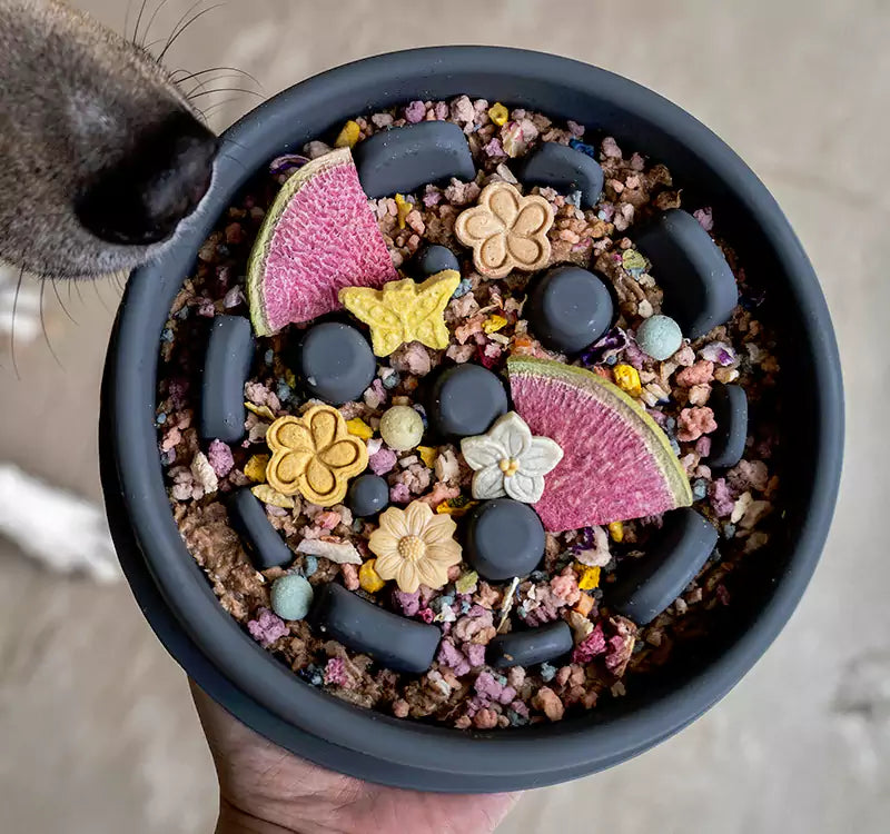 Wooflo Slow Mo Bowl™ — The Anti-Gulp Feeder